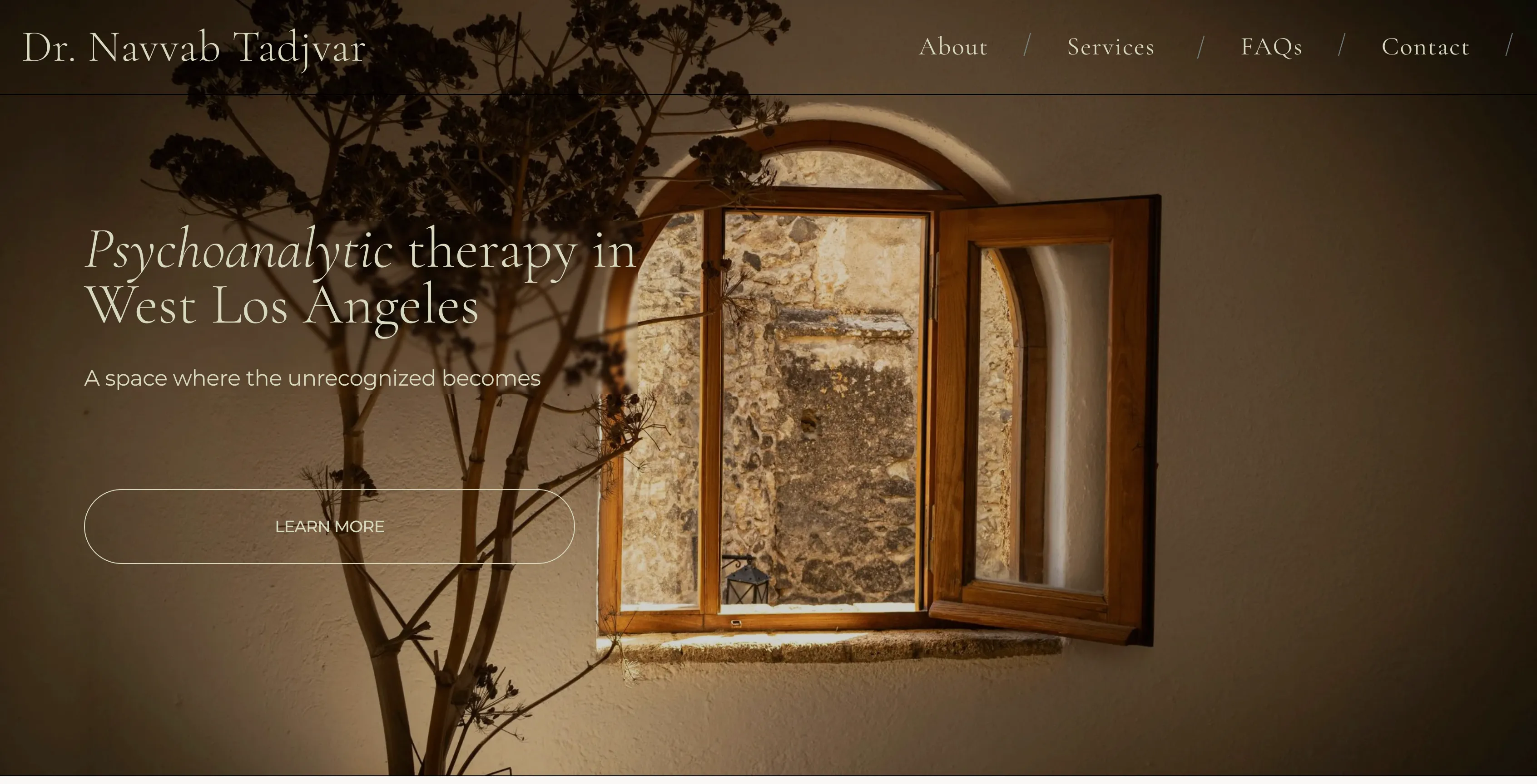 Dr. Navvab Tadjvar website screenshot