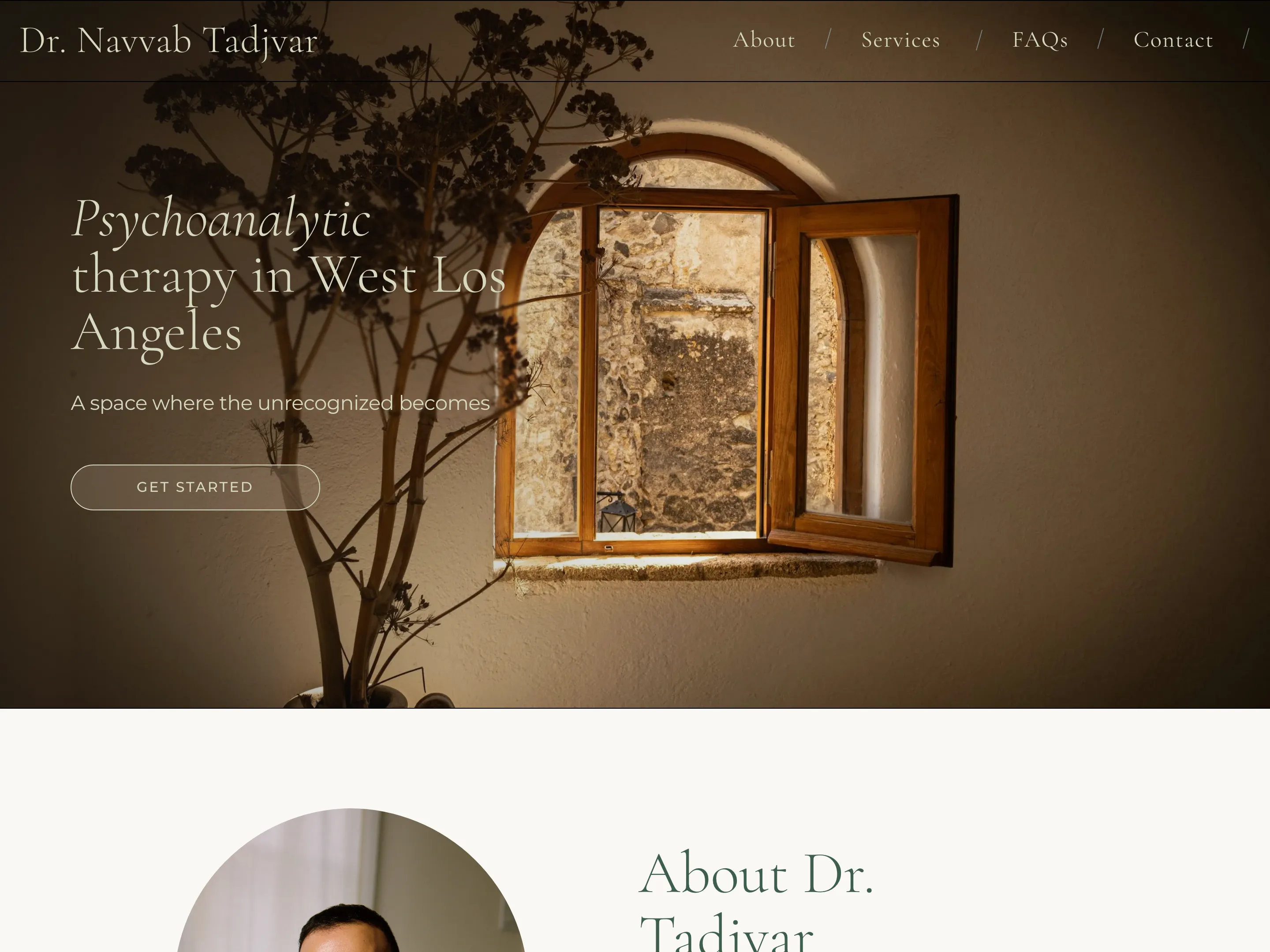 Dr. Navvab Tadjvar website screenshot
